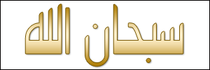 الخط 4 الزيارات 213 تاريخ الإضافة 21/3/2008