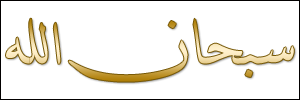 الخط 16