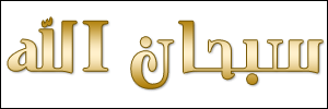 الخط 19 الزيارات 206 تاريخ الإضافة 21/3/2008