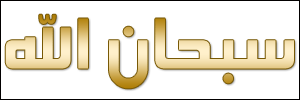 الخط 29 الزيارات 162 تاريخ الإضافة 21/3/2008