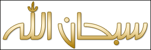 الخط 33 الزيارات 237 تاريخ الإضافة 21/3/2008