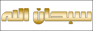 الخط 35 الزيارات 229 تاريخ الإضافة 21/3/2008