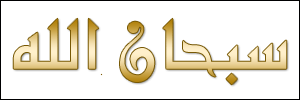 الخط 39 الزيارات 232 تاريخ الإضافة 21/3/2008