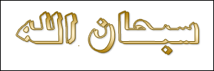 الخط 46 الزيارات 247 تاريخ الإضافة 21/3/2008