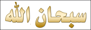 الخط 48 الزيارات 209 تاريخ الإضافة 21/3/2008