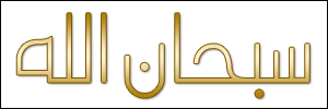 الخط 55 الزيارات 362 تاريخ الإضافة 21/3/2008