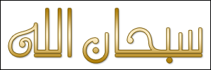 الخط 56 الزيارات 433 تاريخ الإضافة 21/3/2008