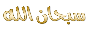 الخط 53 الزيارات 417 تاريخ الإضافة 21/3/2008