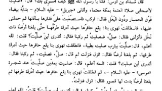 الأنوار الساطعة على دلالة نبوة سيدنا محمد صلى الله عليه وسلم